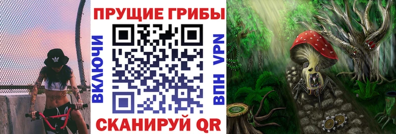 OMG как зайти  Шали  Галлюциногенные грибы Psilocybine cubensis 