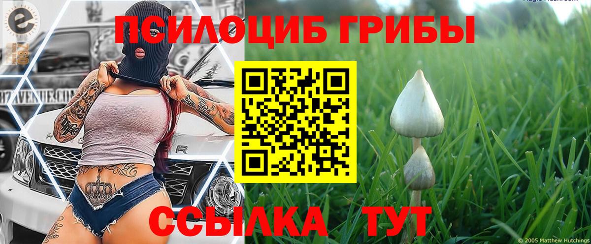 наркотики  Вход с VPN  Галлюциногенные грибы мицелий  Шали  Псилоцибиновые грибы мухоморы 